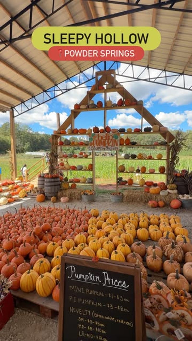 Powder Springs Marketplace