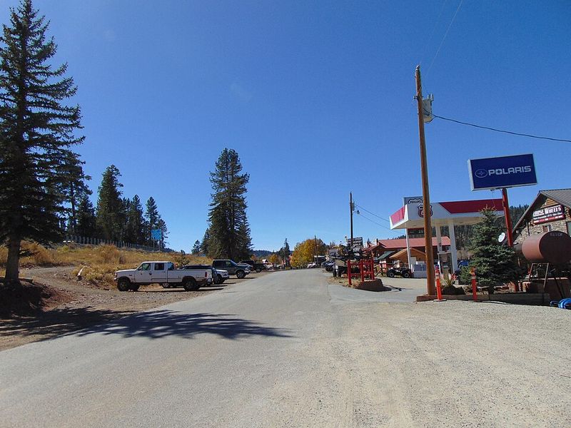 Duck Creek Village