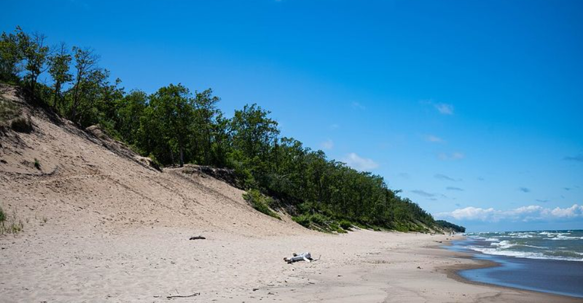 I Found A Coastal Getaway In The Midwest At Indiana Dunes, Just Outside Chicago