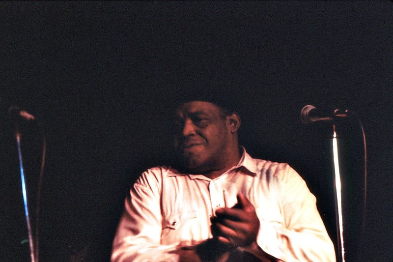 Walking the Blues – Willie Dixon