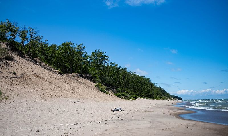 Mount Baldy Beach (Living Dune Area)