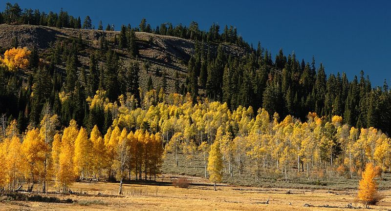 Fremont Canyon
