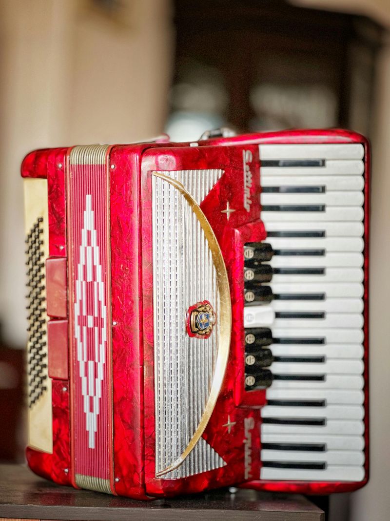 Vintage Musical Instruments