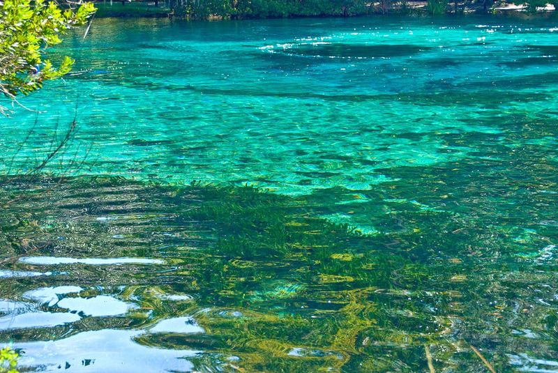 Silver Glen Springs