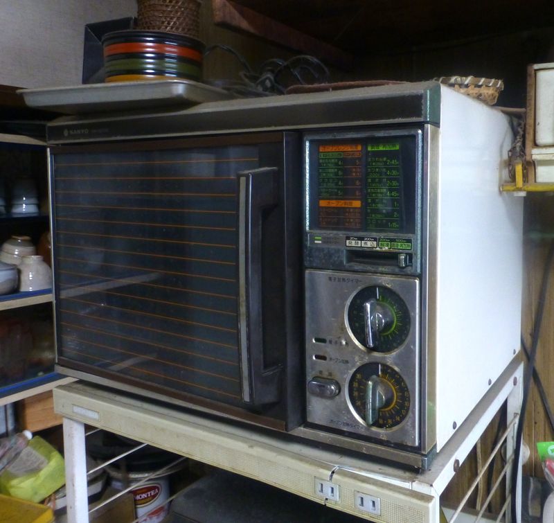 Microwaves That Survived Decades