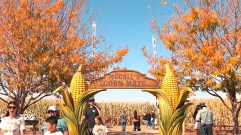 Perfect Day Trip From Albuquerque