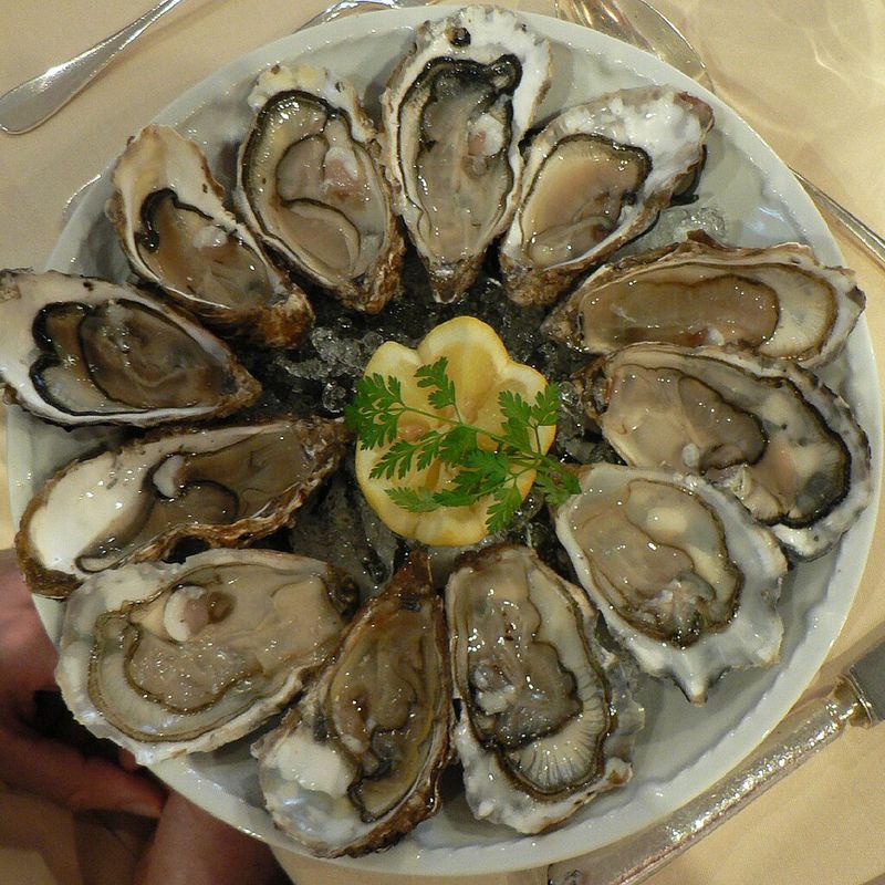 Oysters