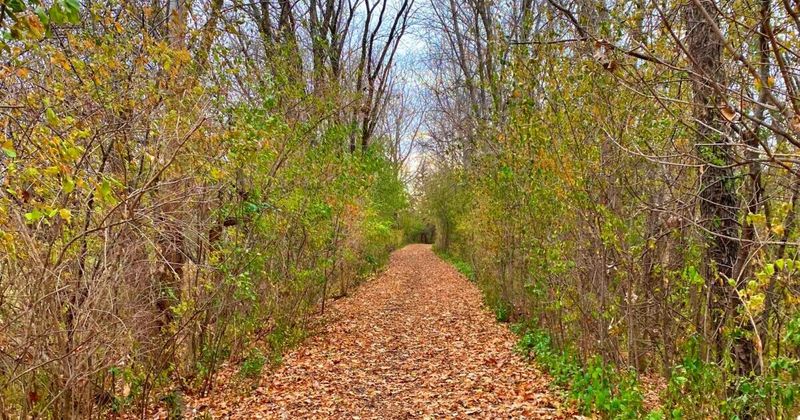 Leon D. Larson Memorial Park's Hidden Assets