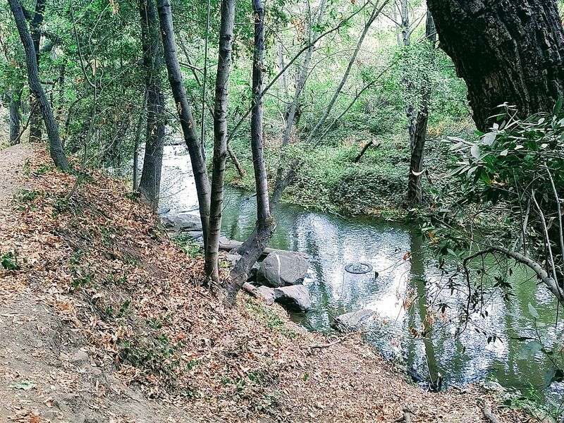 Los Gatos Creek Trail - In-Town Nature Corridor