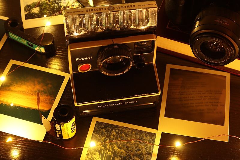 Polaroid Snapshots Of Backyard Parties