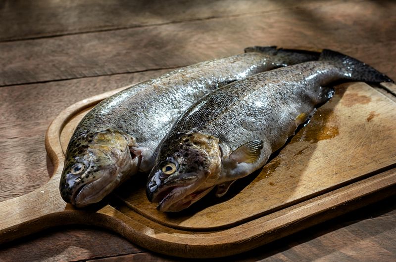Rainbow Trout