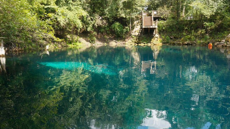 Peacock Springs