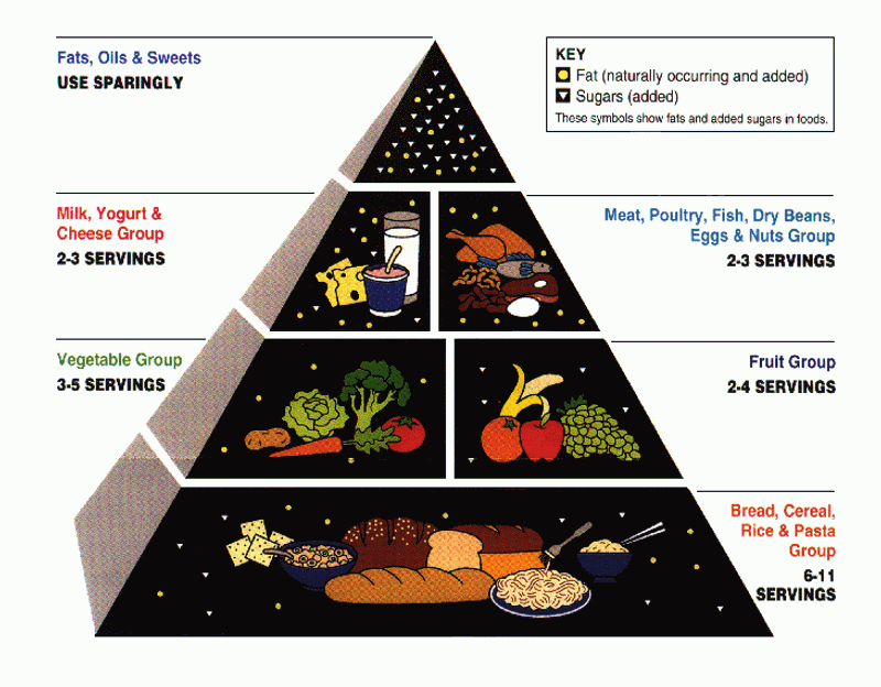 Low-Fat Is Always Healthier For Everyone