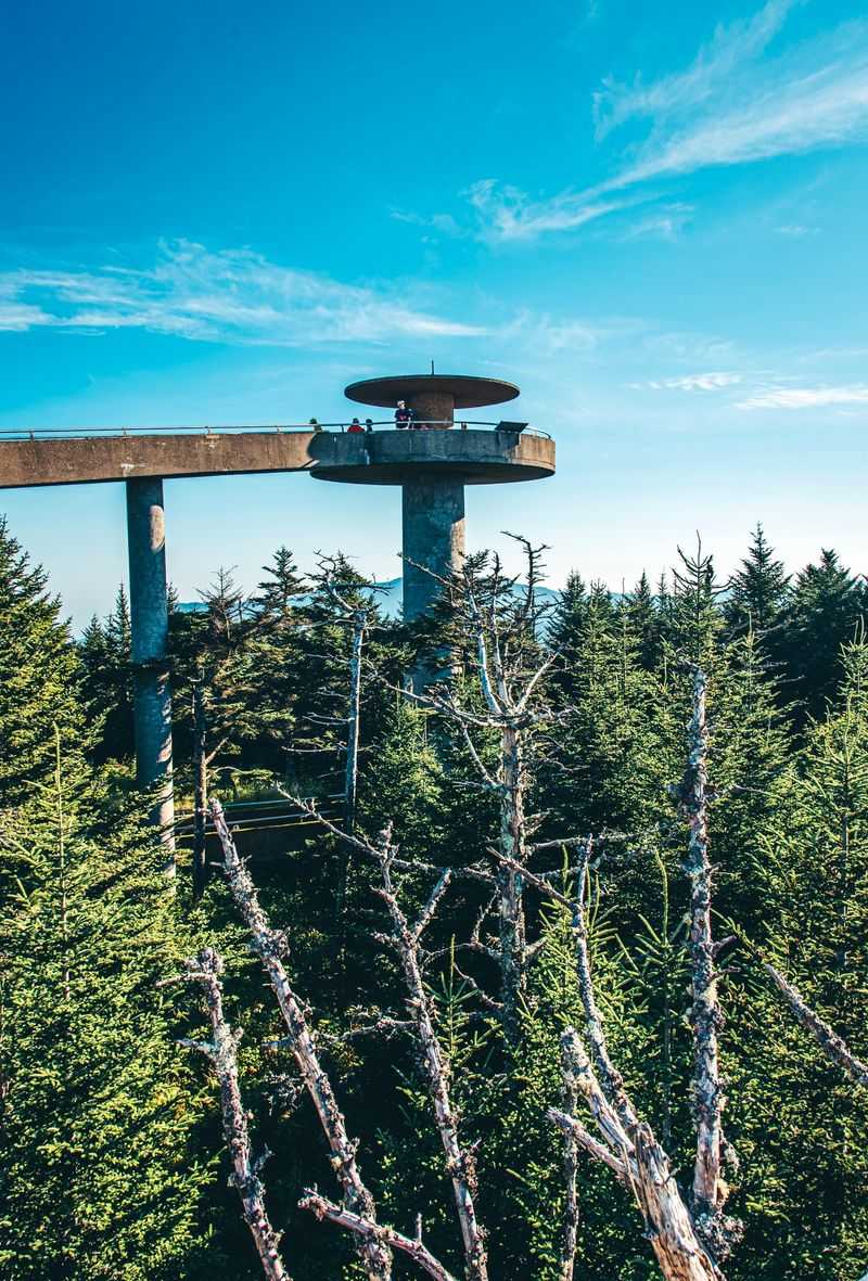 Clingmans Dome, Tennessee/North Carolina