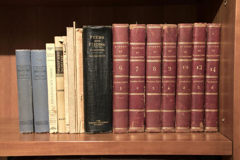 Vintage Books