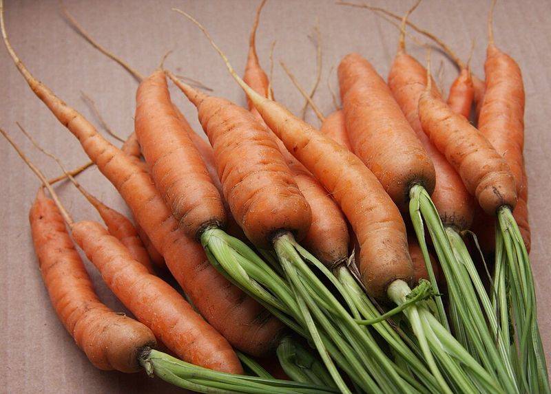 Carrots Dramatically Improve Night Vision