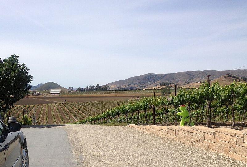 Edna Valley Vineyards & Wine Country