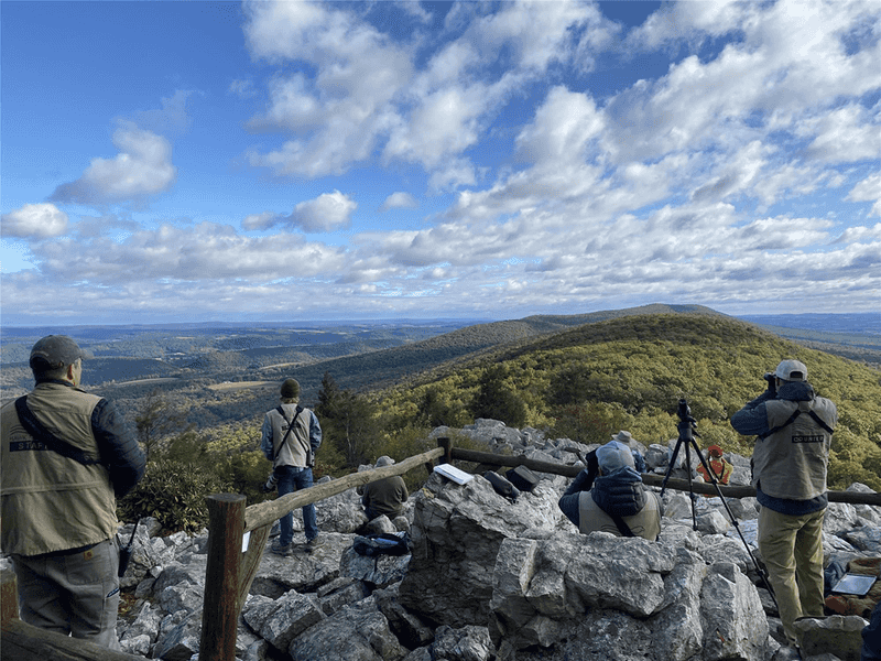 Hawk Mountain Sanctuary Lookouts