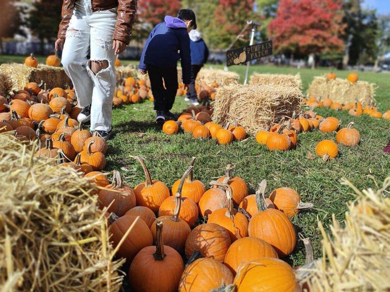 Town of Elsmere Fall Festival (October 18, 2025)
