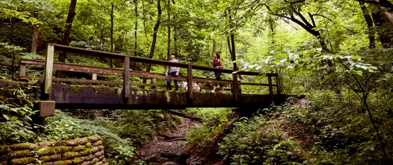 Perfect for Families Seeking Outdoor Connection