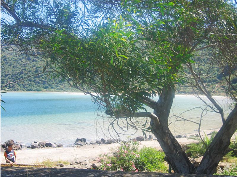 Vineyards and Local Flavors