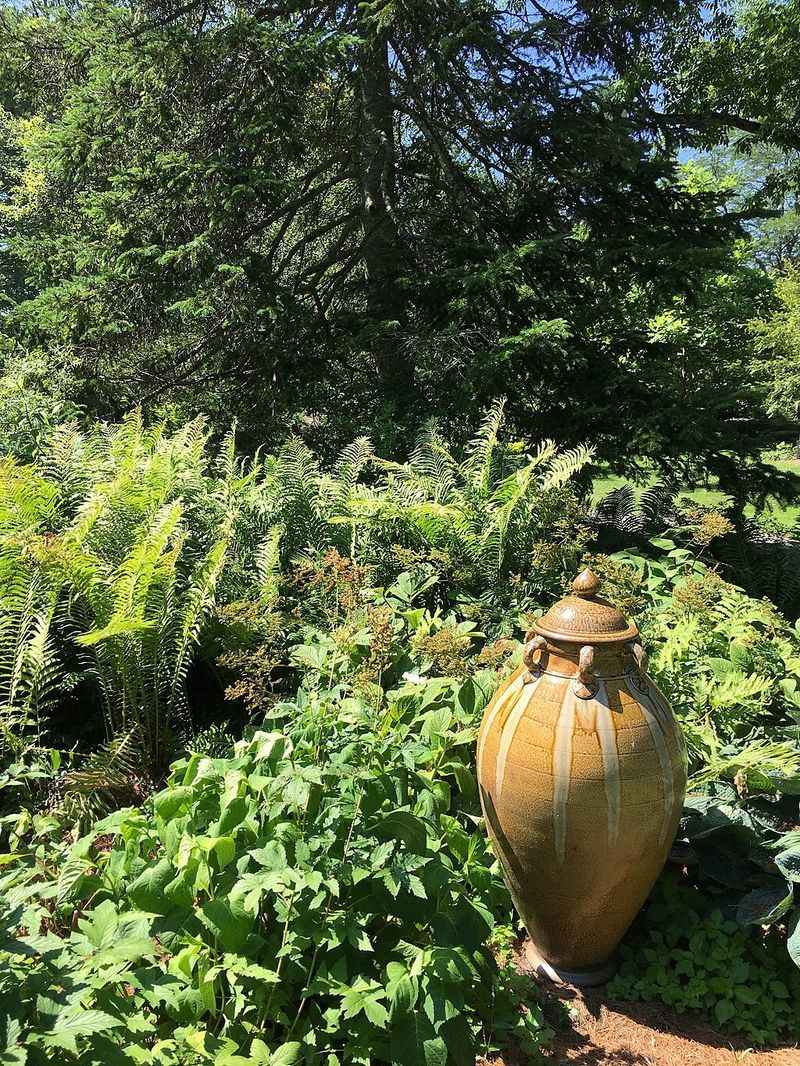 Berkshire Botanical Garden
