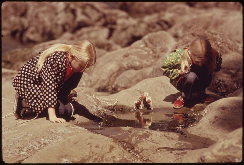Outdoors And Science