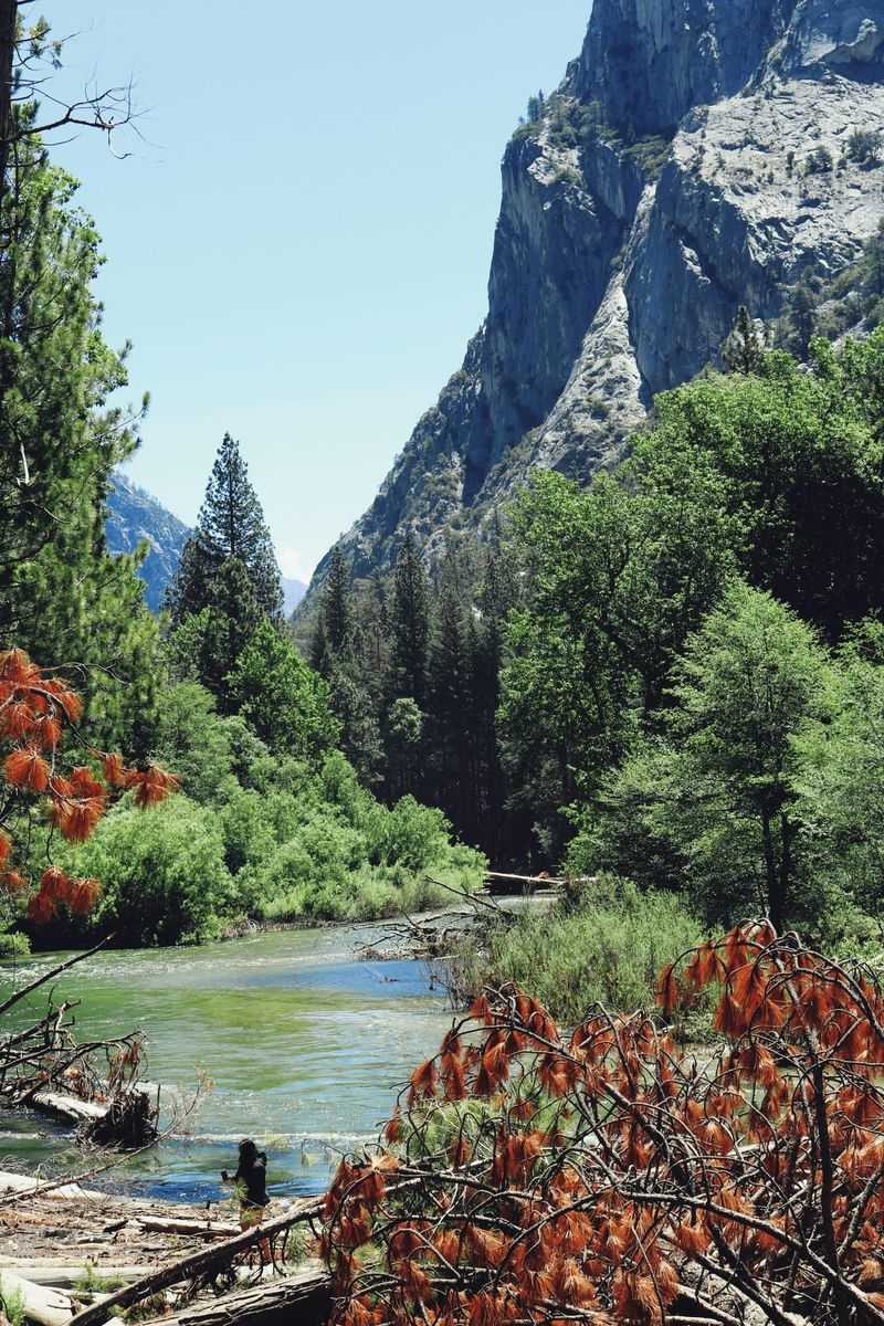 Kings Canyon National Park