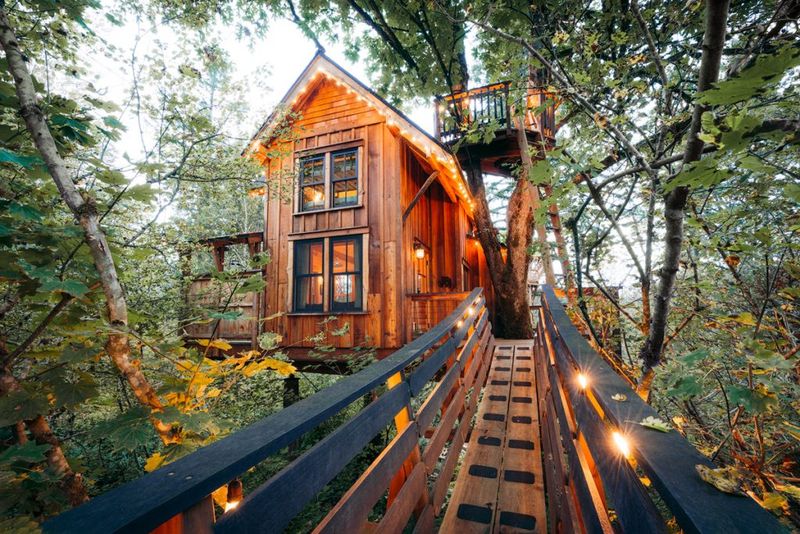 Bear Creek Treehouse in Sultan