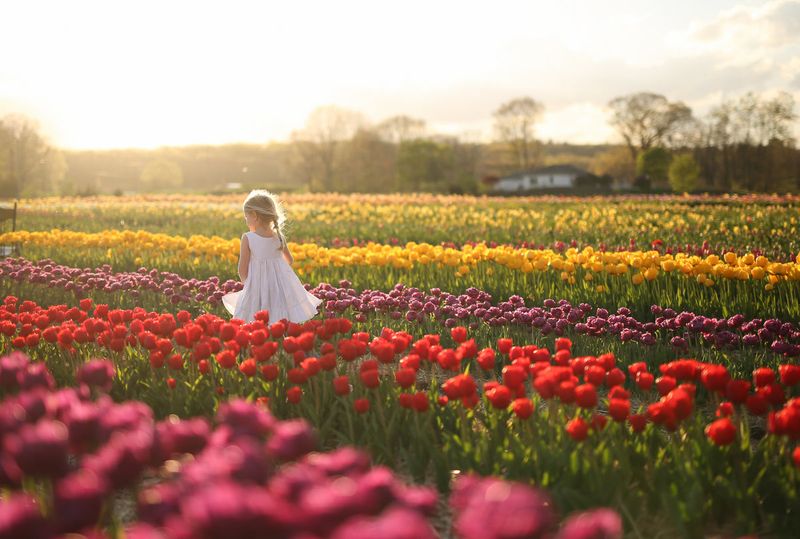Simsbury: Flower Capital With Mountain Views