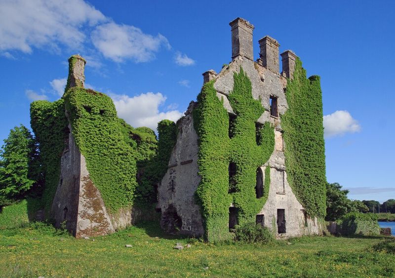 Menlo Castle (County Galway)