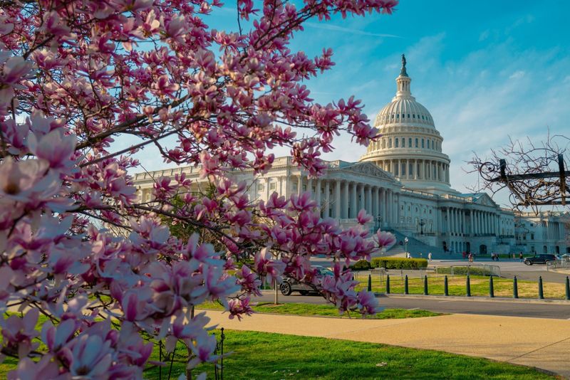 Washington D.C.