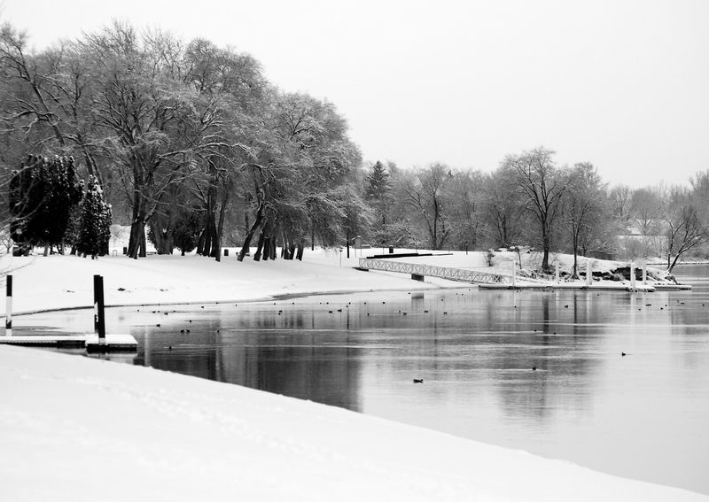 Richland's Frosty Paradise