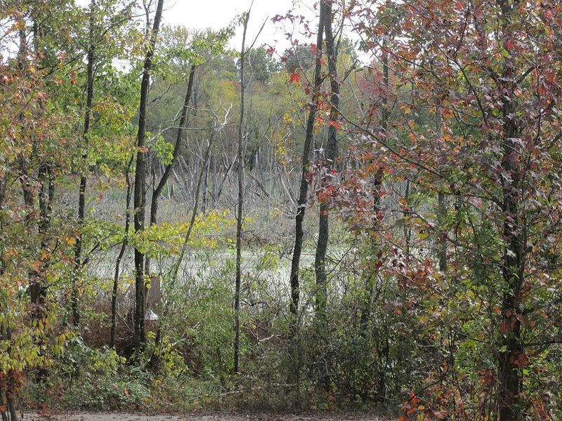 Patoka River National Wildlife Refuge