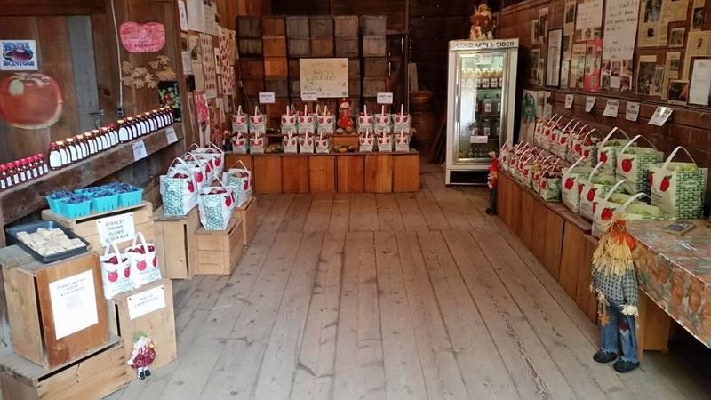 Fresh-Pressed Cider And Farm Goodies