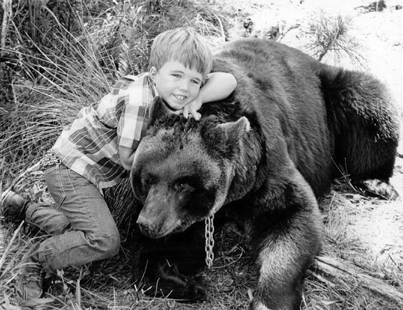 Gentle Ben