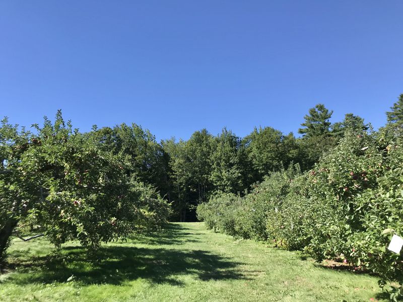 Picturesque Family Farm Setting
