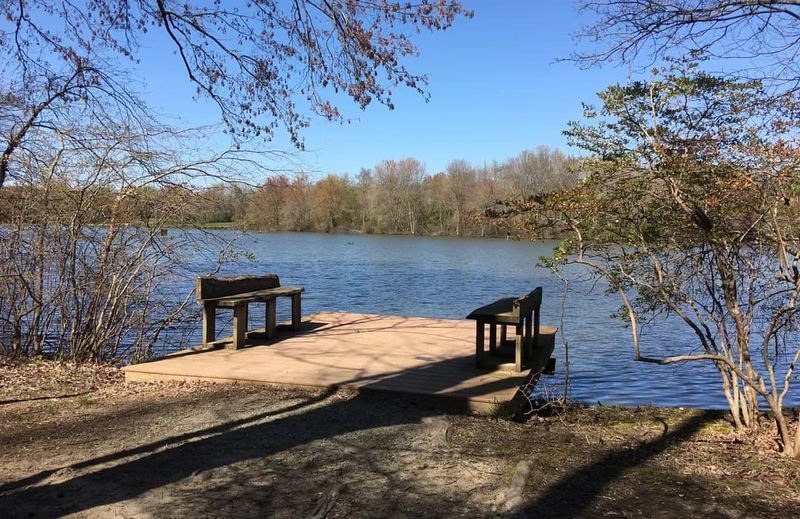 Swamp Forest Trail