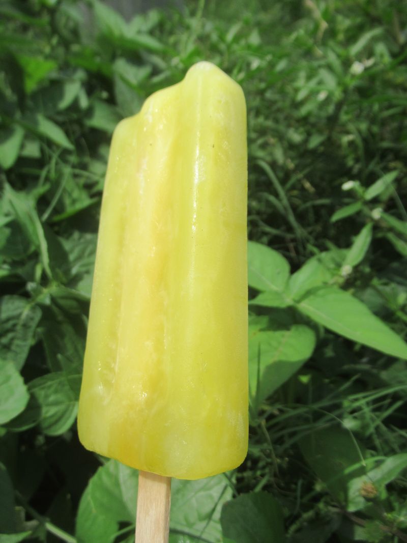 Pineapple Ice Pops