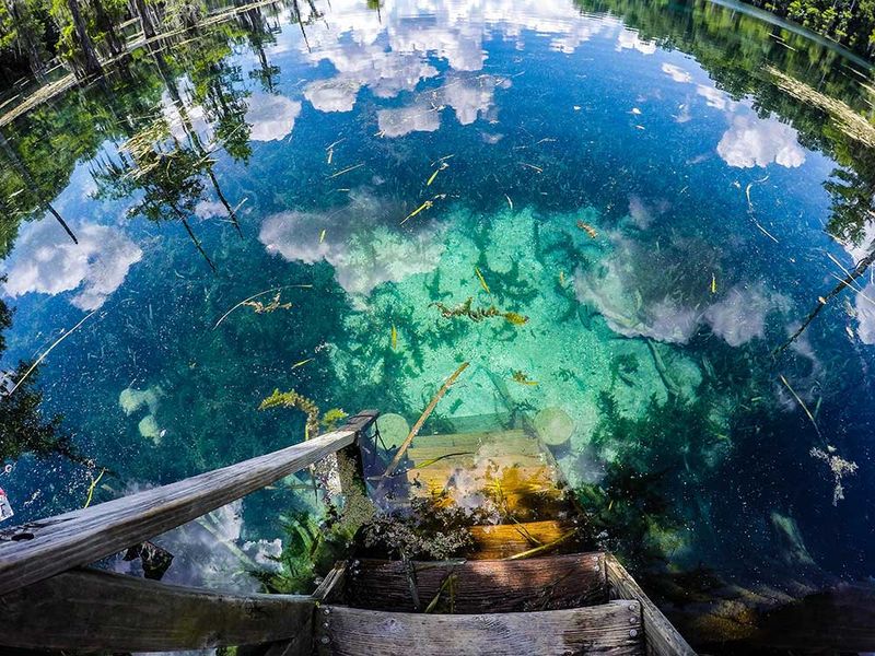 Jackson Blue Springs