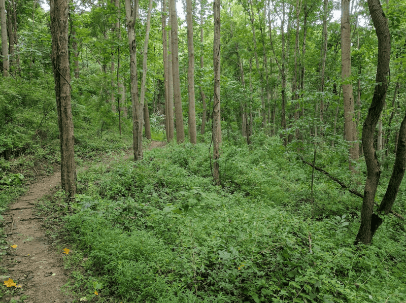 Twin Valley Trail