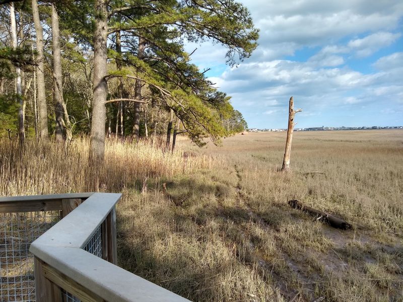 Thompson Island Nature Preserve