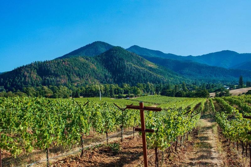 Wine Country and Farm-to-Table Dining