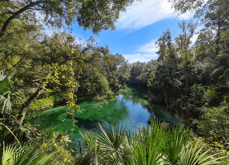 Blue Spring State Park