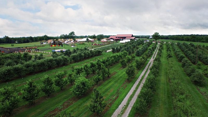 Evans Orchard and Cider Mill — Georgetown