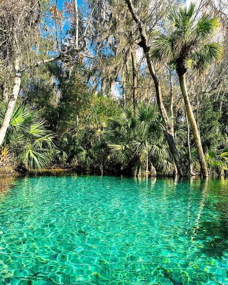 Rainbow Springs