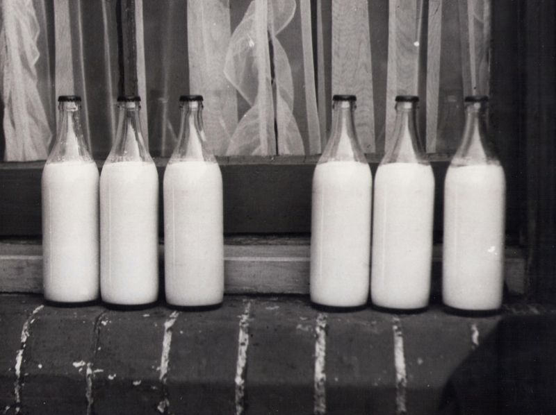 Milk Delivery To Your Doorstep
