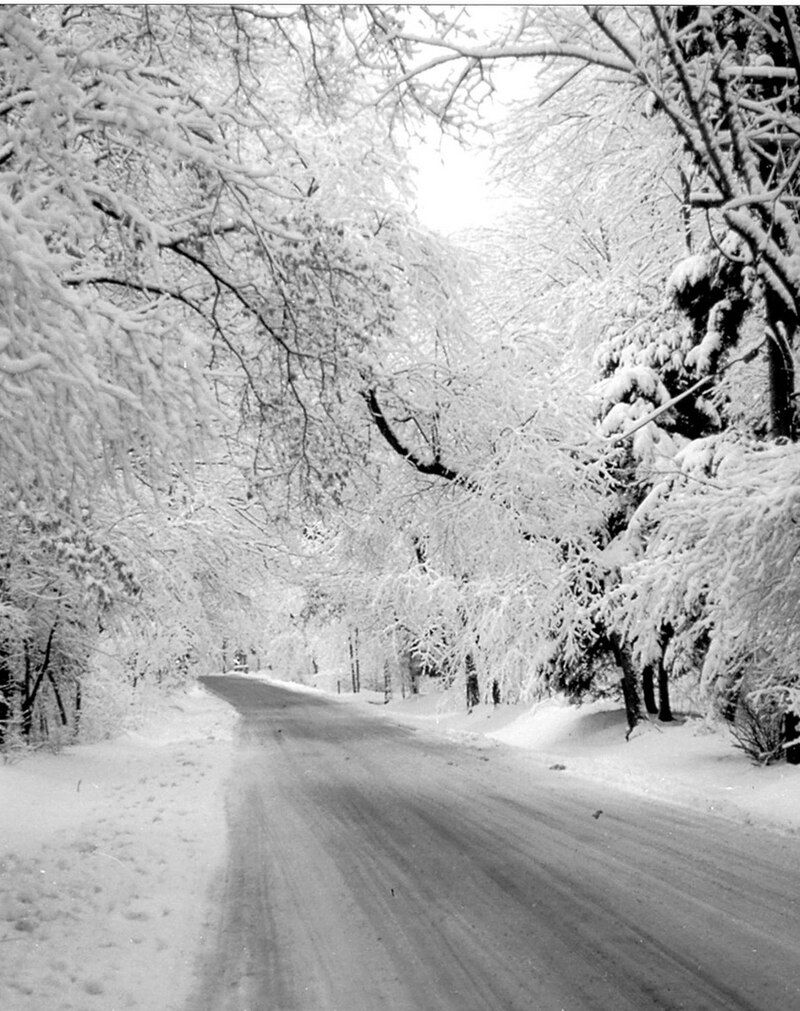 Winter Wonderland Cross-Country Skiing Routes