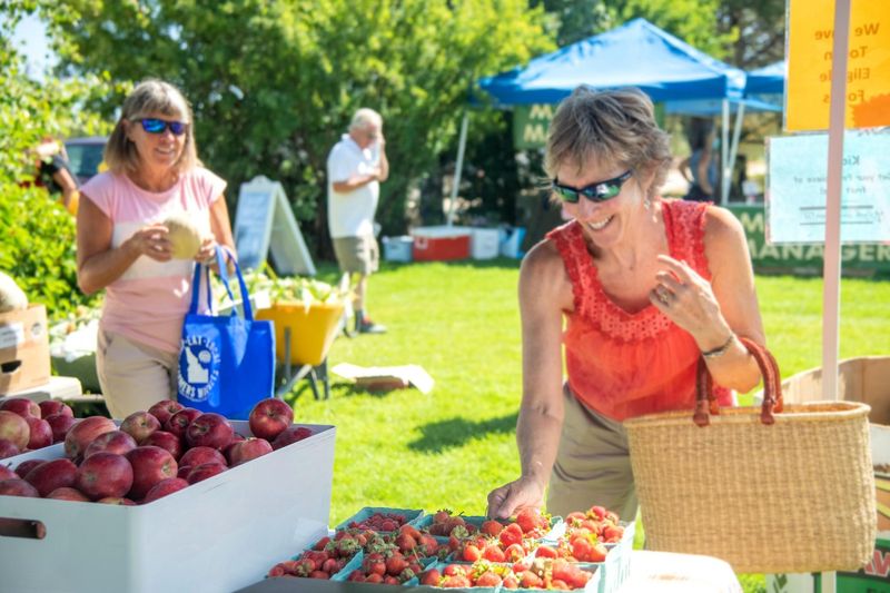 Cascade Farmers & Flea Market