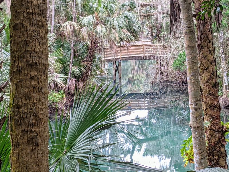 Gemini Springs